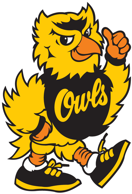 Kennesaw State Owls 1992-2011 Mascot Logo iron on transfers for T-shirts